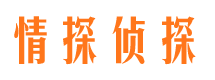 安阳市婚外情调查